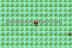 Pokemon Molden GBA ROM Hacks 