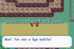 Pokemon Molden GBA ROM Hacks 