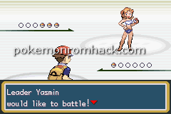 Pokemon Molden GBA ROM Hacks 