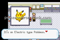 Pokemon Molden GBA ROM Hacks 