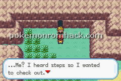 Pokemon Molden GBA ROM Hacks 