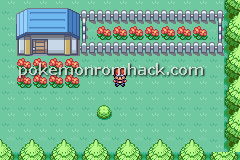 Pokemon Molden GBA ROM Hacks 