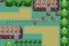 Pokemon Molden GBA ROM Hacks 