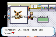 Pokemon Molden GBA ROM Hacks 