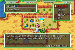 Pokemon Mystery Dungeon: Origins RMXP Hacks 