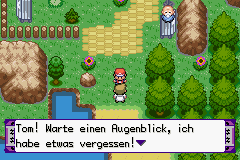 Pokemon Nachtschwarz GBA ROM Hacks 