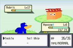 Pokemon Navyblue GBA ROM Hacks 