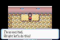 Pokemon Next Generation GBA ROM Hacks 