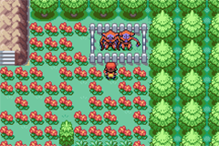 Pokemon Nidokingdom GBA ROM Hacks 