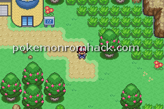 Pokemon Orange Islands GBA ROM Hacks 