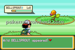 pokemon orange island gba