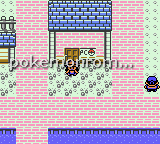 Pokemon Paradise Green GBC ROM Hacks 