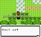 Pokemon Paradise Green GBC ROM Hacks 