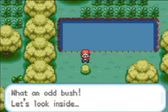 Pokemon Perfect Fire Red GBA ROM Hacks 