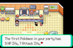 Pokemon Pit Of 100 Trials Hoen Edition GBA ROM Hacks 