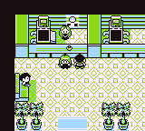 Pokemon Plus Green GBC ROM Hacks 