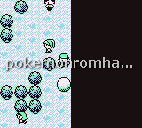 Pokemon Prime-Purple Edition GBC ROM Hacks 