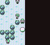 Pokemon Prime: Purple Edition GBC ROM Hacks 