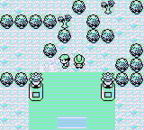 Pokemon Prime: Purple Edition GBC ROM Hacks 