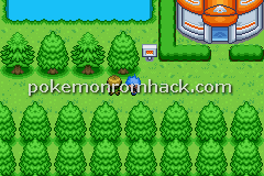 Pokemon PurpleRose GBA ROM Hacks 