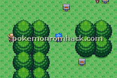 Pokemon PurpleRose GBA ROM Hacks 