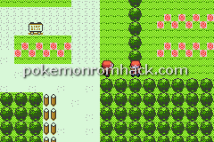 Pokemon RED RETURNS GBA ROM Hacks 