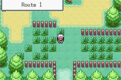 Pokemon RedChal GBA ROM Hacks 