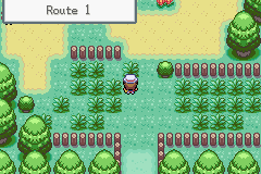 Pokemon RedChal GBA ROM Hacks 