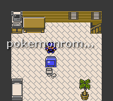 Pokemon Red and Blue Deluxe GBC ROM Hacks 