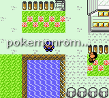 Pokemon Red and Blue Deluxe GBC ROM Hacks 