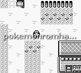 Pokemon Red for Girls GBC ROM Hacks 