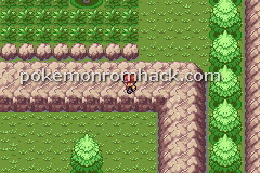 Pokemon Relic GBA ROM Hacks 