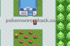 Pokemon Relic GBA ROM Hacks 