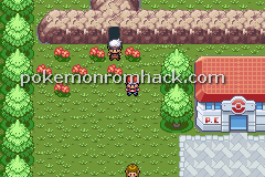 Pokemon Relic GBA ROM Hacks 