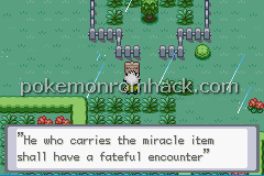 Pokemon Retribution Version GBA ROM Hacks 