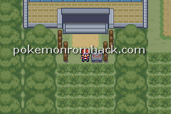 Pokemon Reverse Version GBA ROM Hacks 