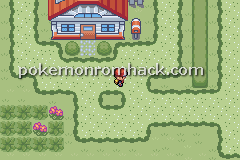 Pokemon Reverse Version GBA ROM Hacks 