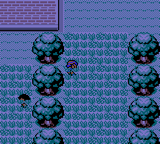 Pokemon Rising Crystal GBC ROM Hacks 