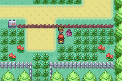 Pokemon Robust Red GBA ROM Hacks 