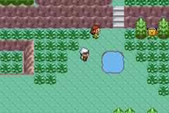 Pokemon Ruby 2 GBA ROM Hacks 