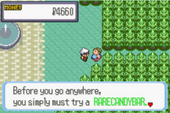 Pokemon Ruby 2 GBA ROM Hacks 