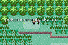 Pokemon: Safari GBA ROM Hacks 