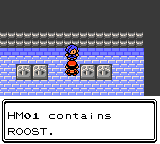 Pokemon Salt Crystal GBC ROM Hacks 