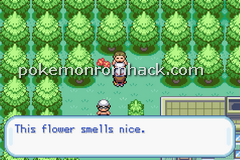 Pokemon Sarunoai GBA ROM Hacks 