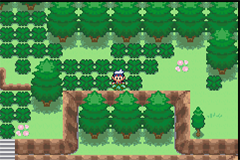 Pokemon Seasons GBA ROM Hacks 