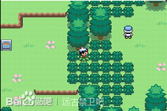 Pokemon Seasons GBA ROM Hacks 