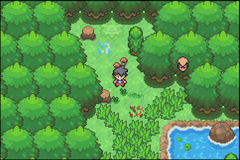 Pokemon HeartGold ROM - Pokemon ROMs