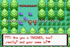 Pokemon Stellar Crimson GBA ROM Hacks 