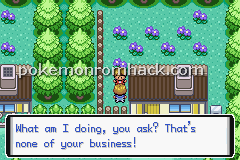 Pokemon Stellar Crimson GBA ROM Hacks 