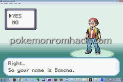 Pokemon Stupid Version GBA ROM Hacks 